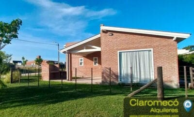 Casitas Flores Blancas: Margarita